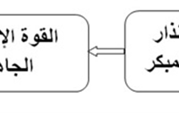 النيباد ومجلس السلم